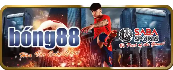 Hai chú gà chọi đang thi đấu trên sàn đấu